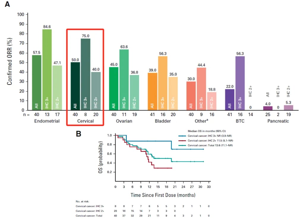 宫颈癌精准治疗新篇章:靶向与免疫疗法中的关键生物标志物检测与创新药物解析 8 图片