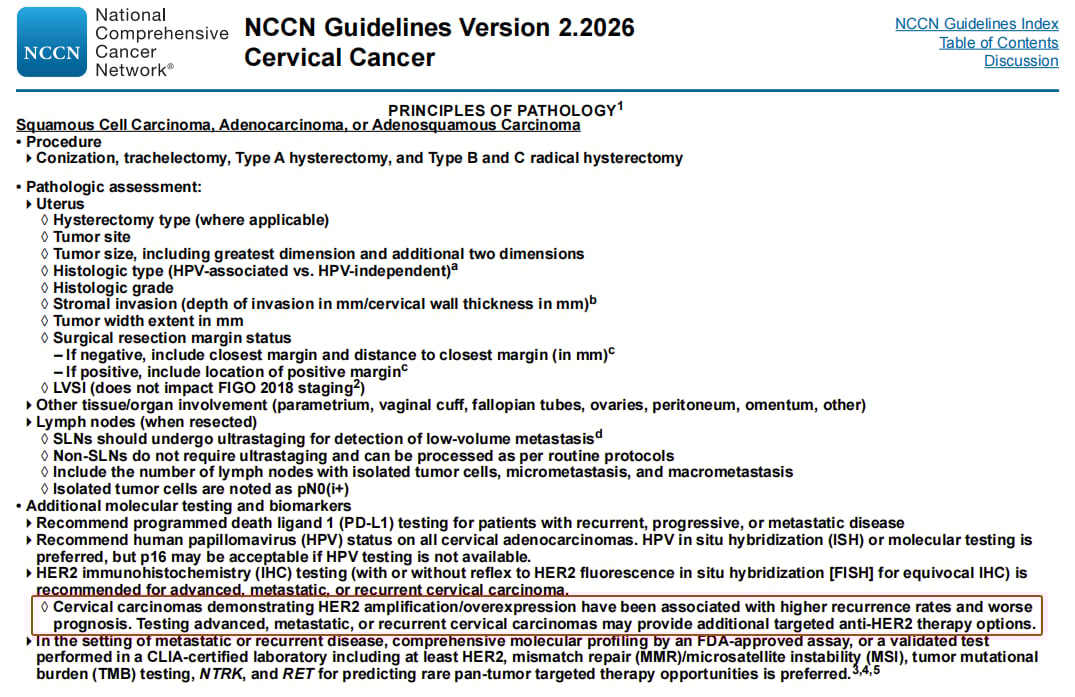 宫颈癌精准治疗新篇章:靶向与免疫疗法中的关键生物标志物检测与创新药物解析 12 图片