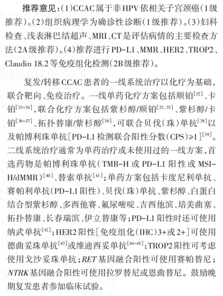 宫颈癌精准治疗新篇章:靶向与免疫疗法中的关键生物标志物检测与创新药物解析 27 图片