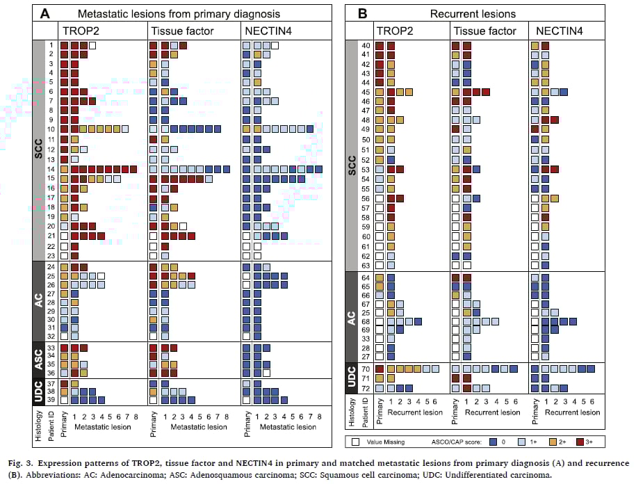 宫颈癌精准治疗新篇章:靶向与免疫疗法中的关键生物标志物检测与创新药物解析 17 图片
