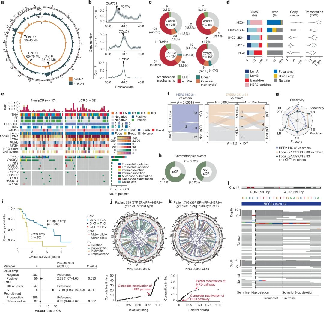 乳腺癌全基因组测序新突破:揭示驱动基因、突变特征与精准治疗新方向 5 图片