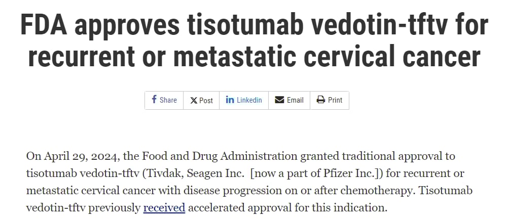 宫颈癌精准治疗新篇章:靶向与免疫疗法中的关键生物标志物检测与创新药物解析 19 图片