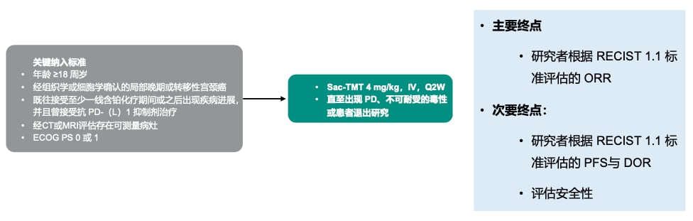 宫颈癌精准治疗新篇章:靶向与免疫疗法中的关键生物标志物检测与创新药物解析 21 图片