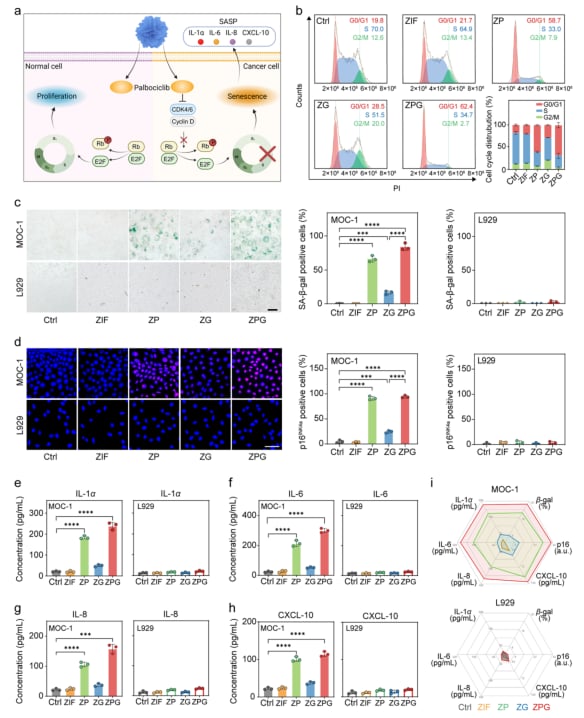 帕博西尼联用Ga³⁺纳米平台:口腔鳞癌等CDK4/6高活肿瘤治疗新突破,增强疗效与安全性 5 图片