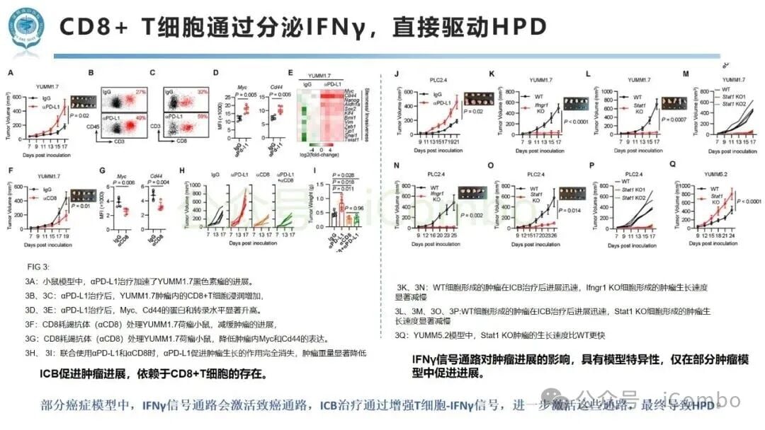 免疫检查点阻断治疗中肿瘤超进展(HPD)新机制:免疫与代谢互作如何影响黑色素瘤与非小细胞肺癌患者预后? 9 图片