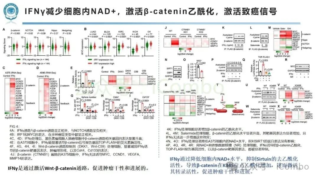 免疫检查点阻断治疗中肿瘤超进展(HPD)新机制:免疫与代谢互作如何影响黑色素瘤与非小细胞肺癌患者预后? 10 图片