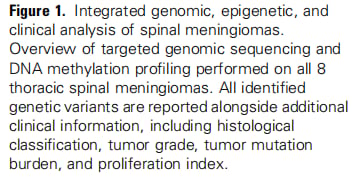 脊髓脑膜瘤分子特征与靶向治疗:NF2、AKT1、SMARCB1突变解析及药物选择 4 图片