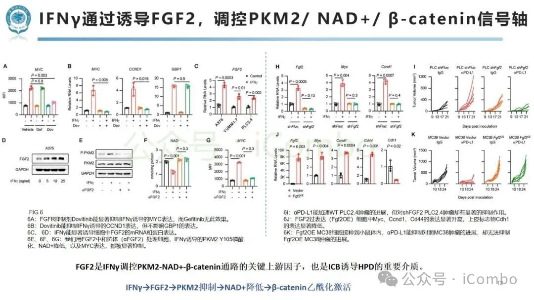 免疫检查点阻断治疗中肿瘤超进展(HPD)新机制:免疫与代谢互作如何影响黑色素瘤与非小细胞肺癌患者预后? 12 图片