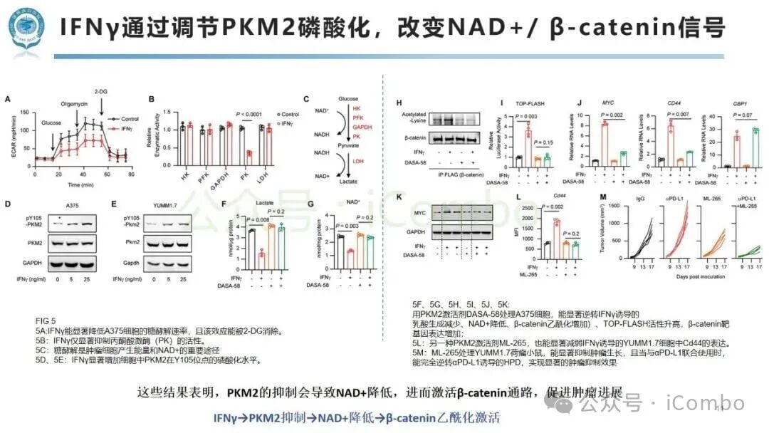 免疫检查点阻断治疗中肿瘤超进展(HPD)新机制:免疫与代谢互作如何影响黑色素瘤与非小细胞肺癌患者预后? 11 图片