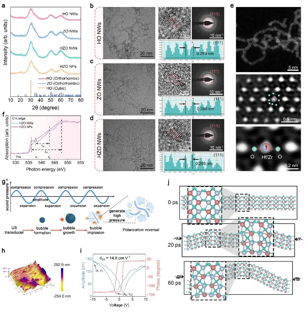 癌症治疗前沿:柔性纳米催化剂诱导肿瘤“焦亡”,激活免疫系统实现双重抗癌 4 图片