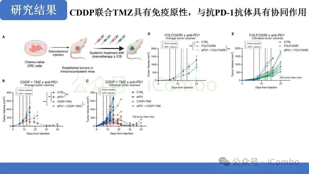 替莫唑胺+顺铂:MMRp结直肠癌免疫治疗新突破?机制、疗效与联合用药前景解析 11 图片