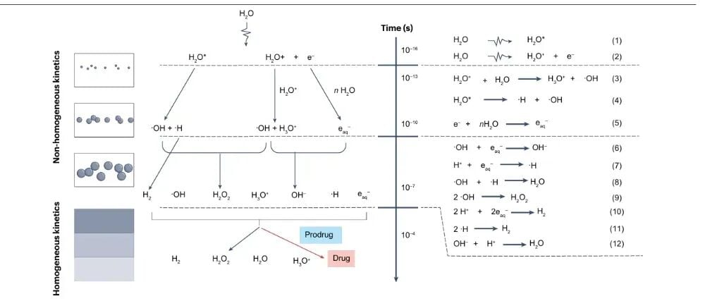癌症放化疗新策略:辐射激活药物递送系统如何实现靶向增效? 2 图片