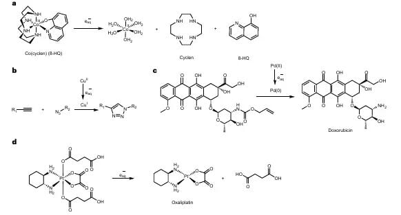 癌症放化疗新策略:辐射激活药物递送系统如何实现靶向增效? 5 图片