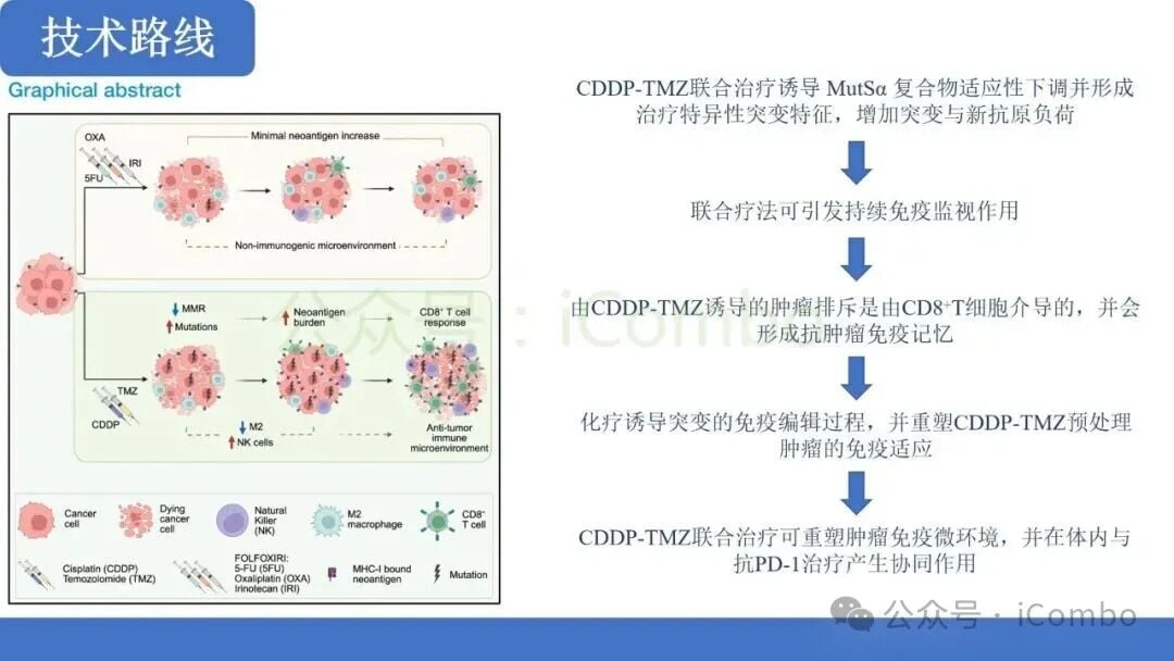 替莫唑胺+顺铂:MMRp结直肠癌免疫治疗新突破?机制、疗效与联合用药前景解析 4 图片