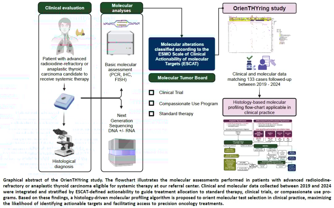 甲状腺癌靶向治疗新希望:基因检测如何精准匹配药物,提升生存率? 1 图片