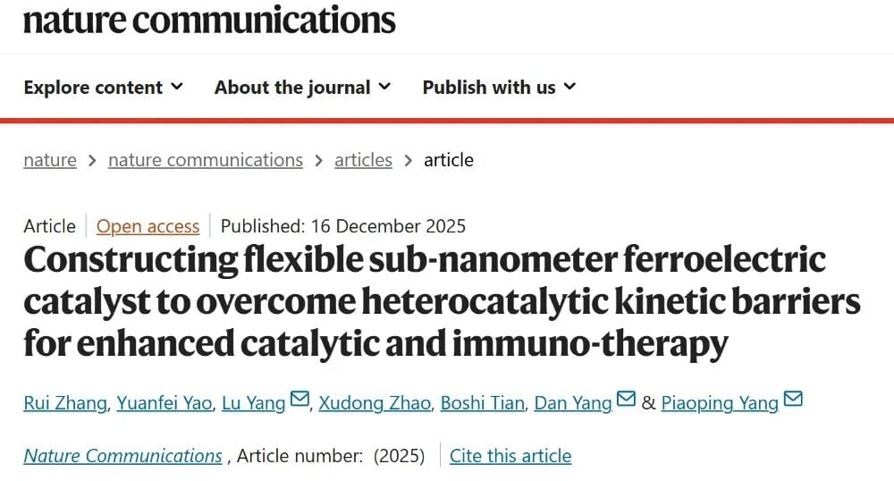 癌症治疗前沿:柔性纳米催化剂诱导肿瘤“焦亡”,激活免疫系统实现双重抗癌 1 图片