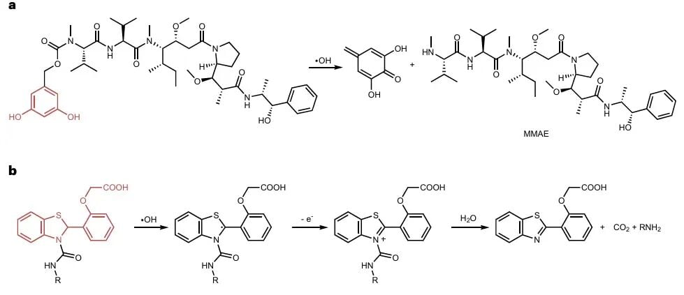 癌症放化疗新策略:辐射激活药物递送系统如何实现靶向增效? 6 图片