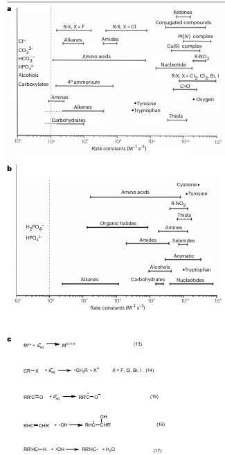 癌症放化疗新策略:辐射激活药物递送系统如何实现靶向增效? 3 图片