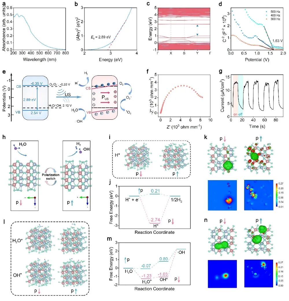 癌症治疗前沿:柔性纳米催化剂诱导肿瘤“焦亡”,激活免疫系统实现双重抗癌 5 图片