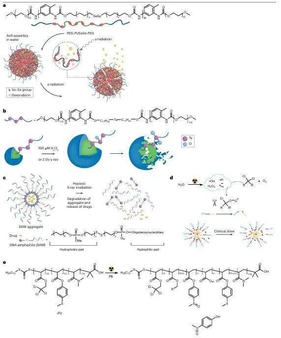 癌症放化疗新策略:辐射激活药物递送系统如何实现靶向增效? 7 图片