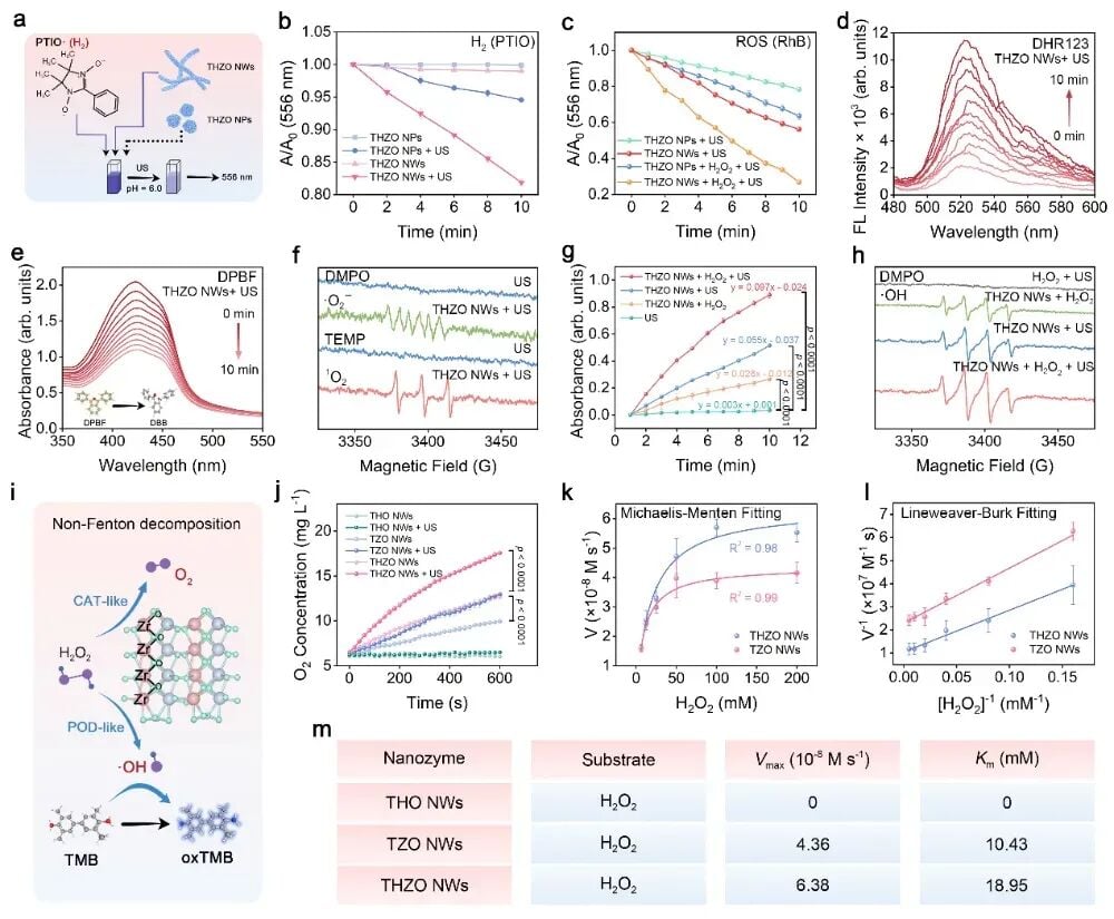癌症治疗前沿:柔性纳米催化剂诱导肿瘤“焦亡”,激活免疫系统实现双重抗癌 6 图片