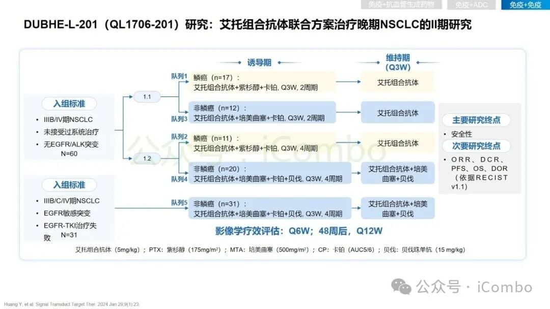 2025非小细胞肺癌免疫治疗新突破:围手术期、晚期耐药患者如何选择? 28 图片