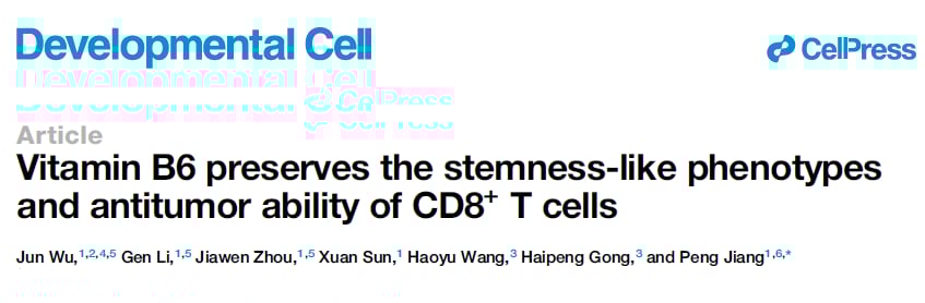 维生素B6如何“重启”抗癌T细胞?最新研究揭示其增强抗PD-1免疫疗法疗效的机制与临床前景 1 图片