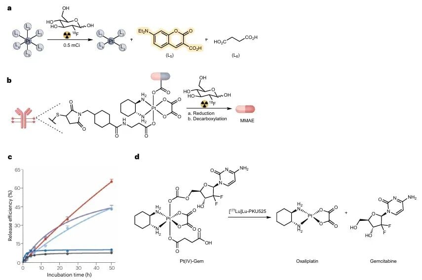癌症放化疗新策略:辐射激活药物递送系统如何实现靶向增效? 8 图片