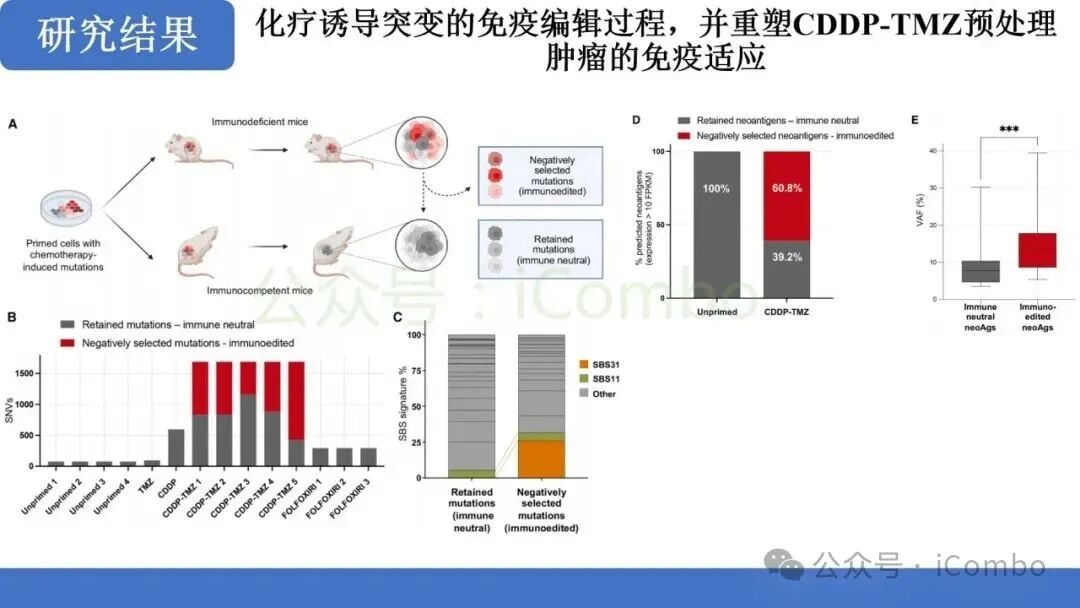 替莫唑胺+顺铂:MMRp结直肠癌免疫治疗新突破?机制、疗效与联合用药前景解析 9 图片