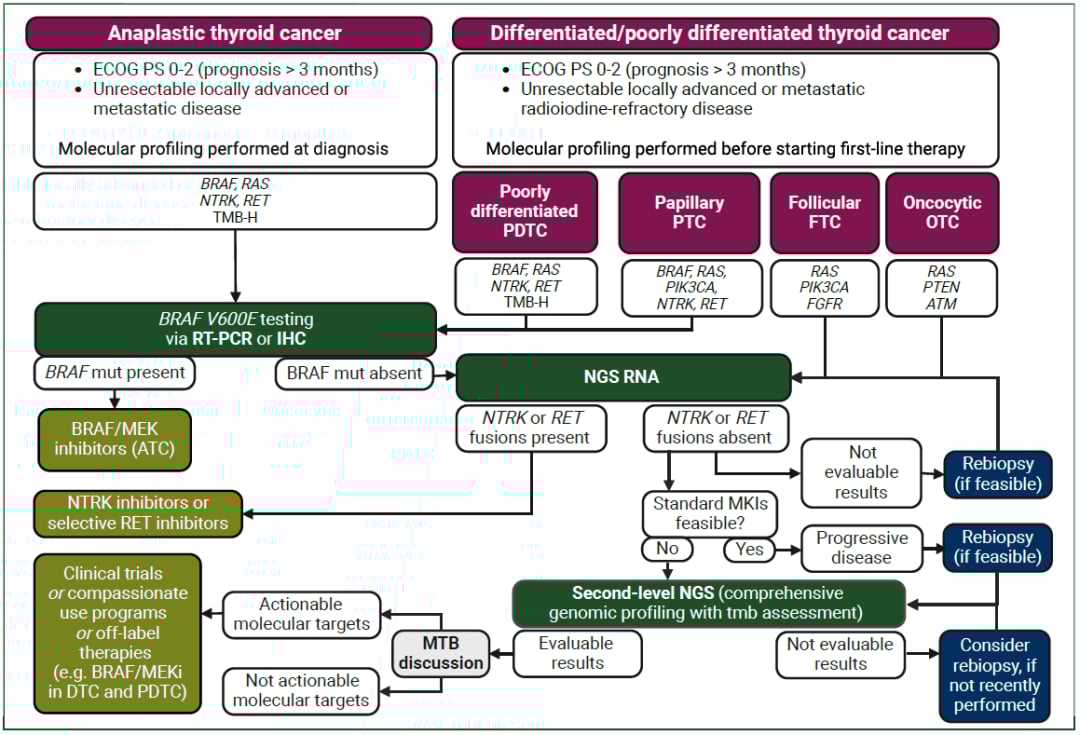 甲状腺癌靶向治疗新希望:基因检测如何精准匹配药物,提升生存率? 6 图片