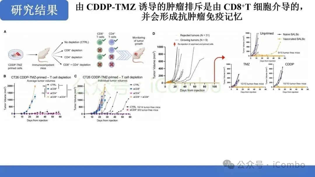 替莫唑胺+顺铂:MMRp结直肠癌免疫治疗新突破?机制、疗效与联合用药前景解析 8 图片