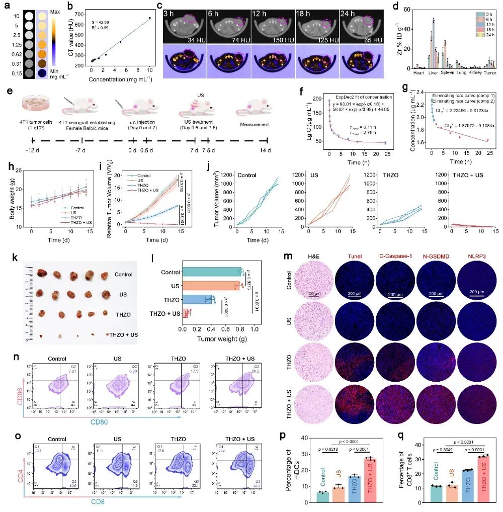 癌症治疗前沿:柔性纳米催化剂诱导肿瘤“焦亡”,激活免疫系统实现双重抗癌 3 图片