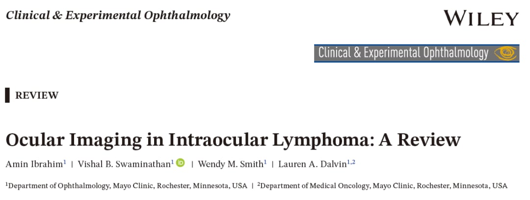 眼内淋巴瘤:被称为“伪装者”的眼底杀手,如何通过多模态影像精准识别与治疗? 1 image.png