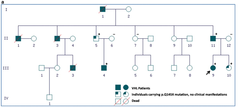 血管母细胞瘤 VHL/TSC2 变异解析:贝组替凡靶向治疗疗效、机制与海外购买渠道 6 图片