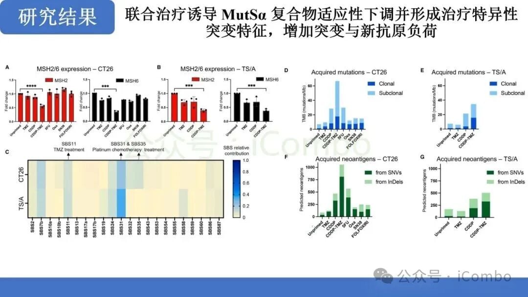 替莫唑胺+顺铂:MMRp结直肠癌免疫治疗新突破?机制、疗效与联合用药前景解析 6 图片