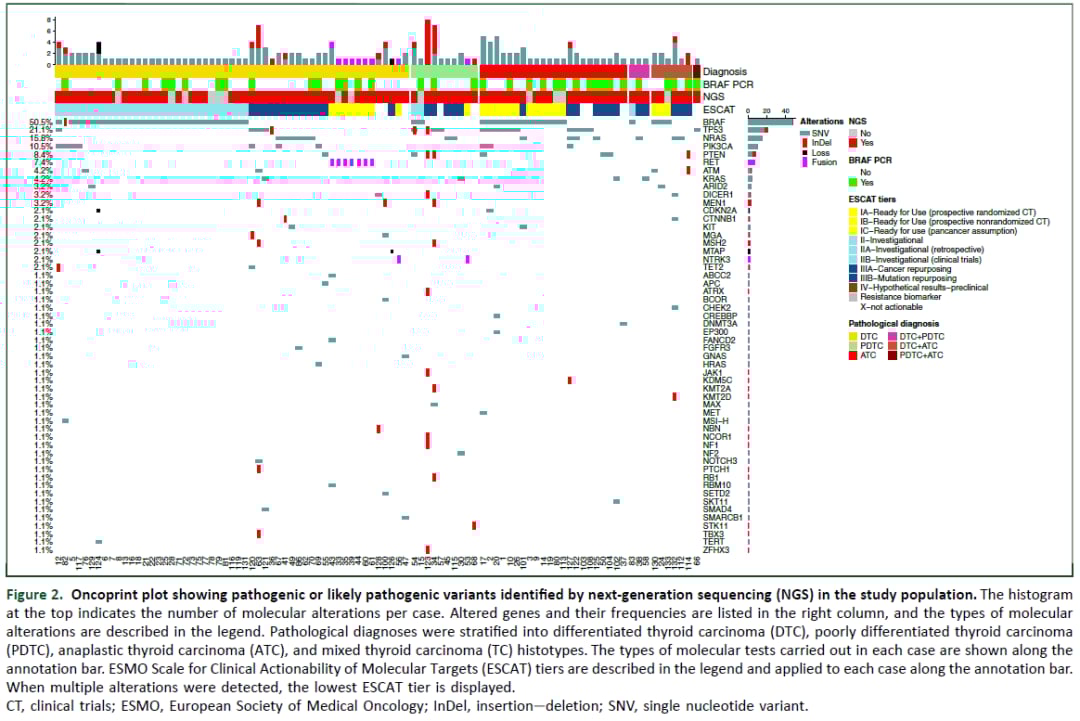 甲状腺癌靶向治疗新希望:基因检测如何精准匹配药物,提升生存率? 5 图片