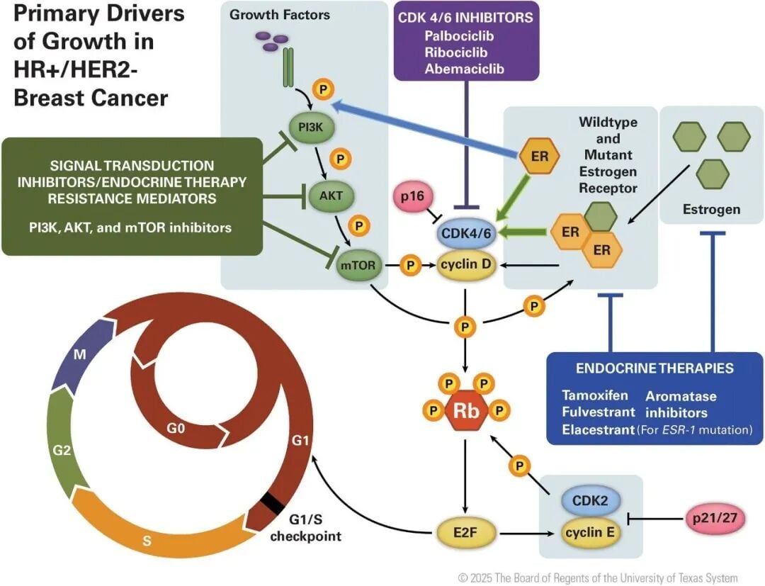 HR+/HER2-晚期乳腺癌:告别“一刀切”,精准治疗如何攻克耐药? 2 图片