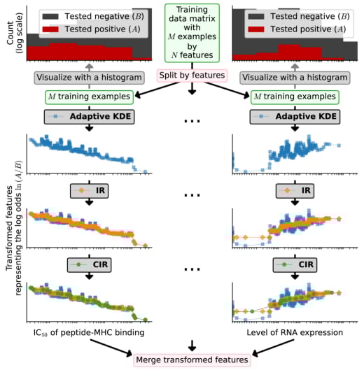 新表位预测工具NeoGuider:如何助力癌症个性化免疫治疗方案设计? 2 图片