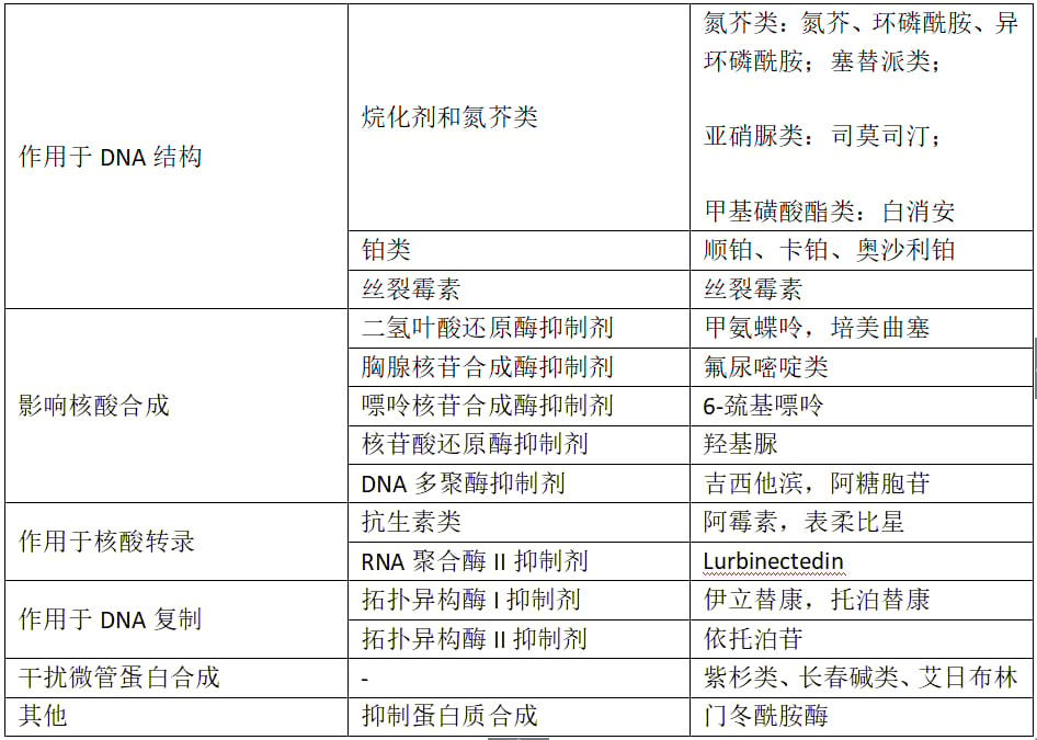 抗肿瘤药物七大分类深度解析:靶向药、免疫治疗、ADC药物与最新治疗方案 1 图片