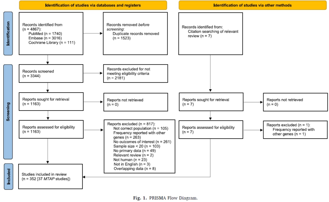 MTAP缺失:一种泛癌种治疗新靶点?胶质母细胞瘤、NSCLC等癌症预后与治疗潜力深度解析 1 图片