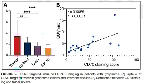 淋巴瘤靶向治疗新工具:CD70免疫PET/CT精准评估表达异质性与疗效监测 3 image.png