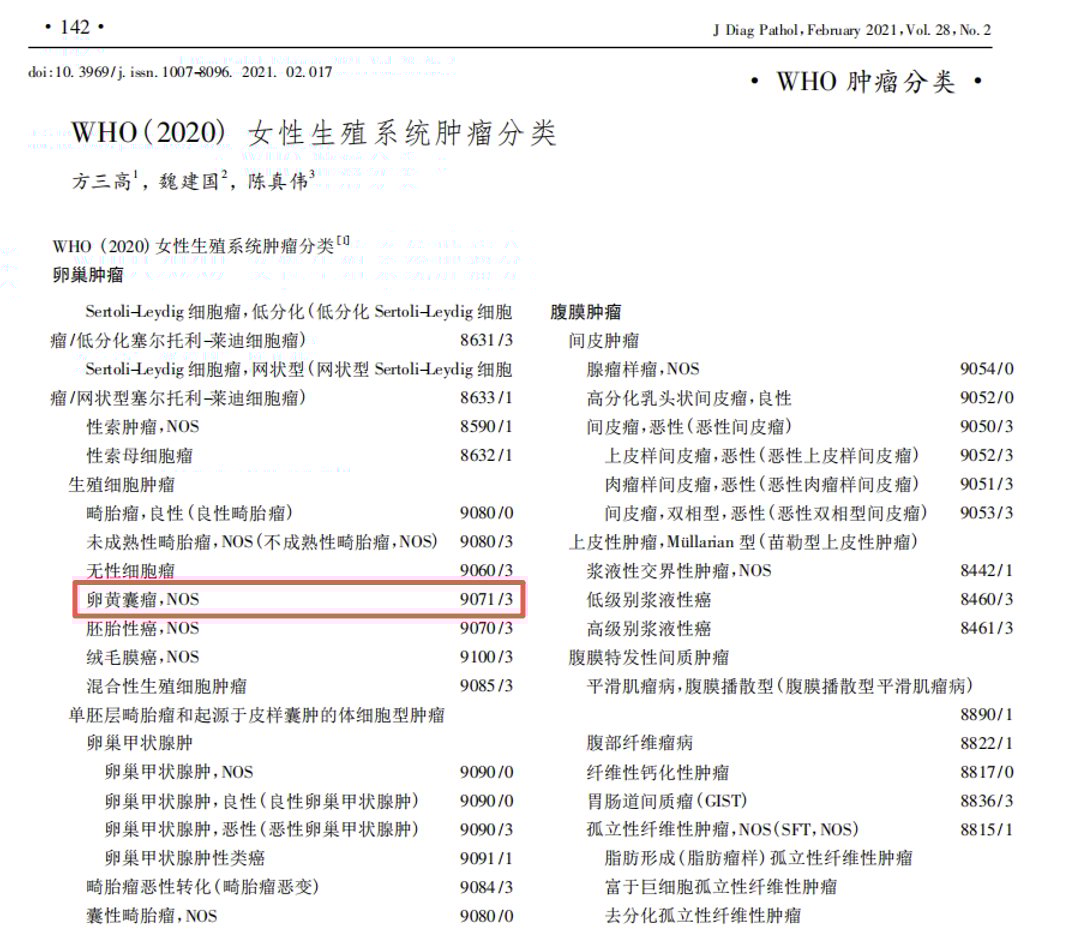 直肠腺癌遇上卵黄囊瘤:KRAS G12S突变患者的罕见挑战与精准诊疗策略 1 图片