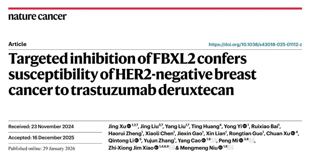 HER2-0三阴性乳腺癌新曙光:创新疗法让德曲妥珠单抗重焕生机 1 图片