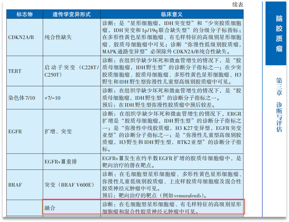 KIAA1549-BRAF融合阳性毛细胞型星形细胞瘤:基因检测、治疗选择及药物获取全攻略 5 中国肿瘤整合诊治指南(CACA)脑胶质瘤中BRAF融合的辅助诊断推荐