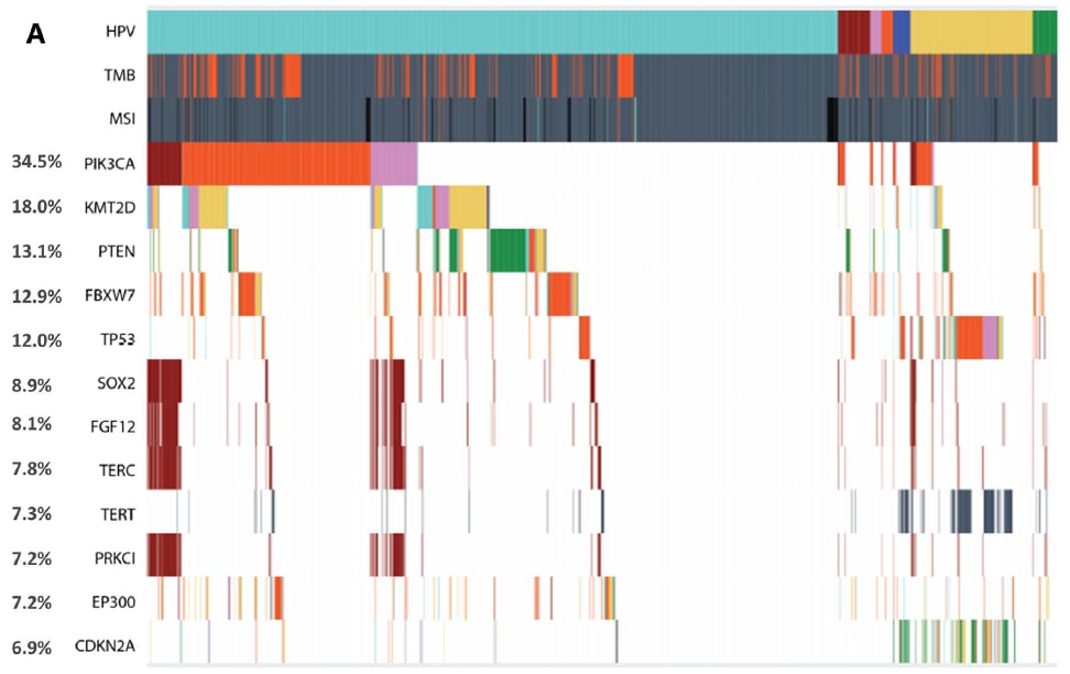 肛门鳞状细胞癌治疗迎来新曙光:液体活检助力精准靶向用药,跨境购药选择多 3 肛门鳞状细胞癌(aSCC)组织活检队列基因组变异概览图A