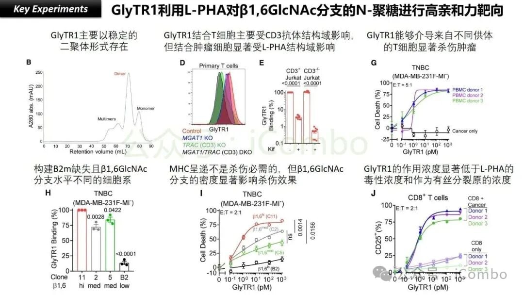 癌症治疗新希望:GlyTR“魔术贴”精准靶向肿瘤,T细胞免疫疗法再升级 7 GlyTR激活耗竭T细胞并克服肿瘤微环境抑制的机制