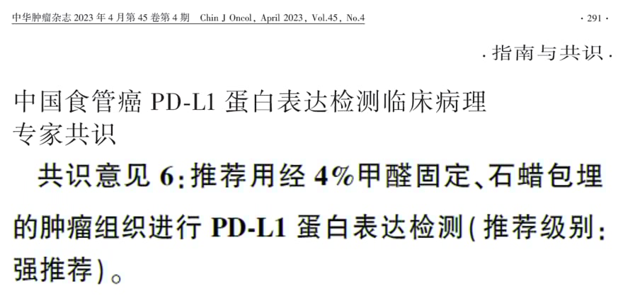 食管癌精准治疗:分子检测、免疫与ADC新药,患者生存新希望! 10 食管癌PD-L1检测标本病理形态学特征筛选示意图