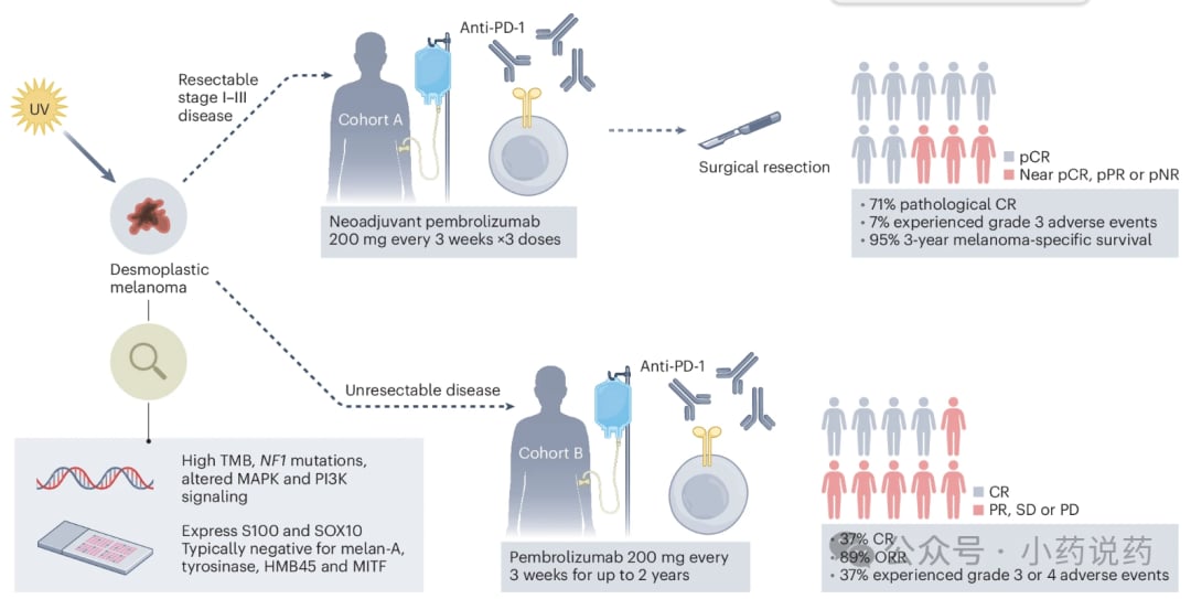 帕博利珠单抗突破性进展:促纤维增生性黑色素瘤患者的「新生」之路,疗效与安全性深度解析 1 图片