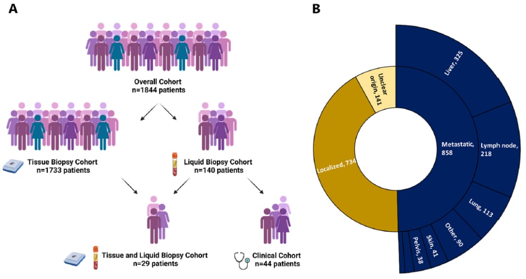 肛门鳞状细胞癌治疗迎来新曙光:液体活检助力精准靶向用药,跨境购药选择多 1 肛门鳞状细胞癌(aSCC)患者研究队列的临床特征分布图A