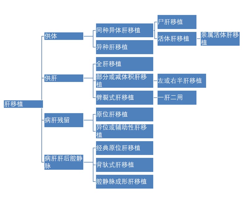 肝癌切除 vs 肝移植:肝癌患者的终极治疗抉择与生存指南 3 肝移植手术分类图解:了解不同类型的肝移植方式
